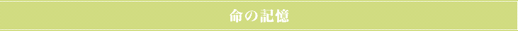 命の記憶