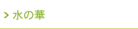ギャラリー　水の華
