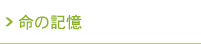 ギャラリー　命の記憶