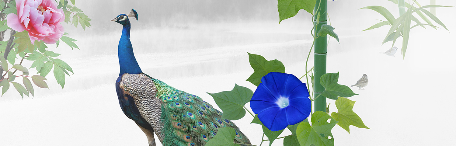 小林弘依写真02