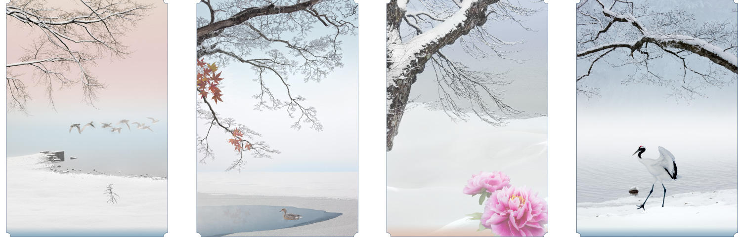 小林弘依写真04